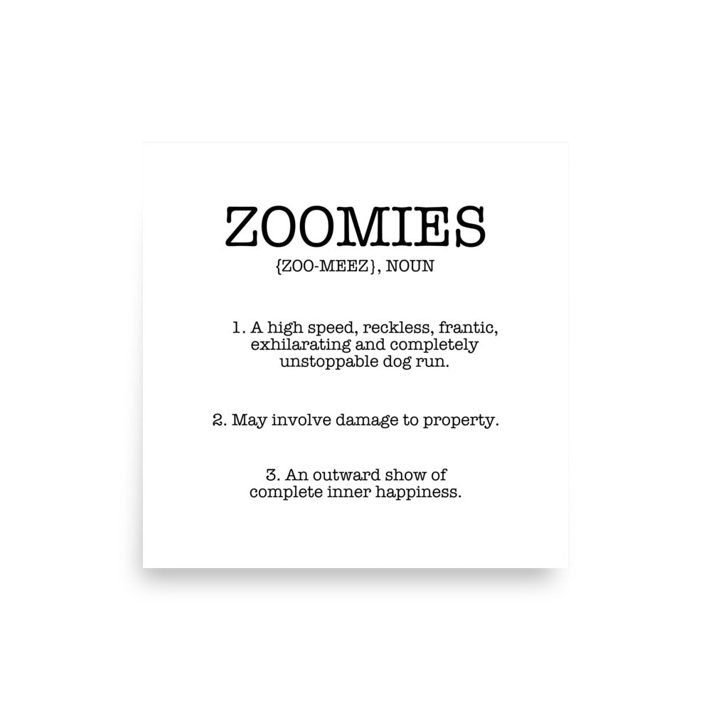 Zoomies Definition Poster