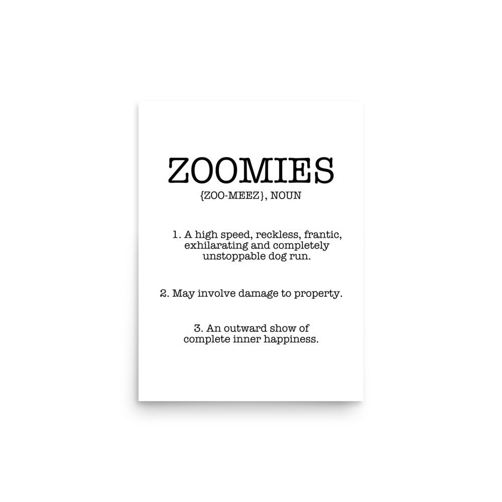 Zoomies Definition Poster