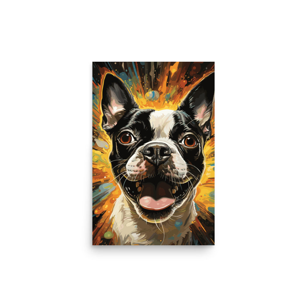 Zoomies Excitement Boston Terrier Dog Poster