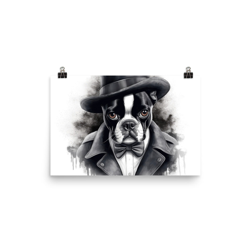 Boston Terrier Gentleman on Poster