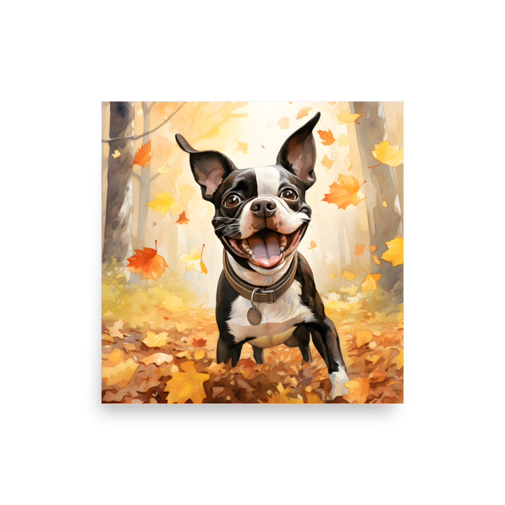 Cheerful Boston Terrier Dog Exploring A Park Watercolor Poster