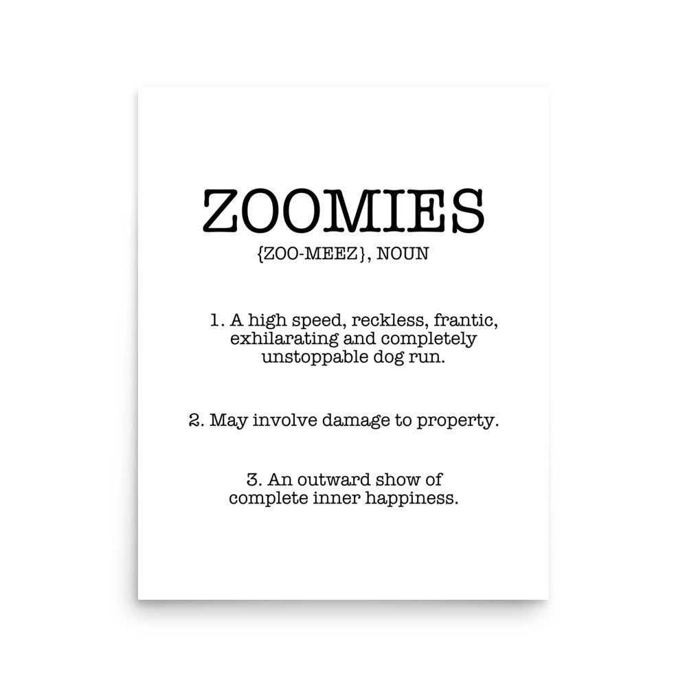 Zoomies Definition Poster