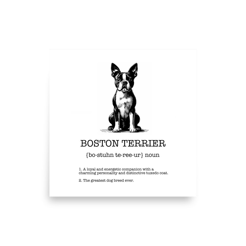 Boston Terrier Definition Poster