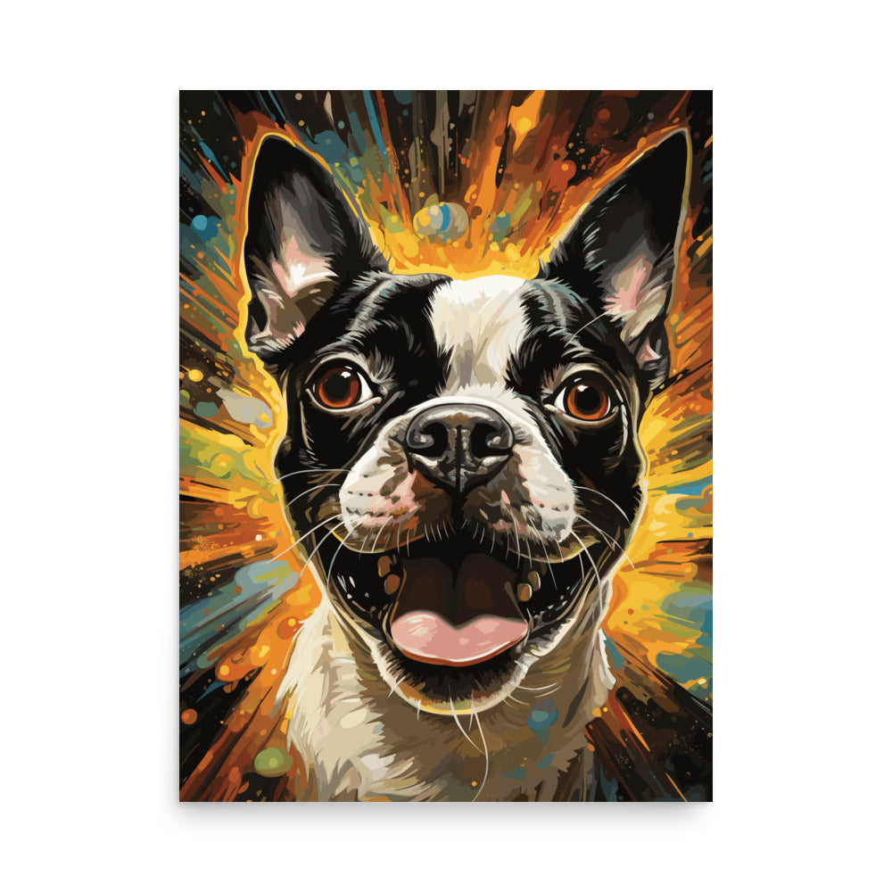 Zoomies Excitement Boston Terrier Dog Poster