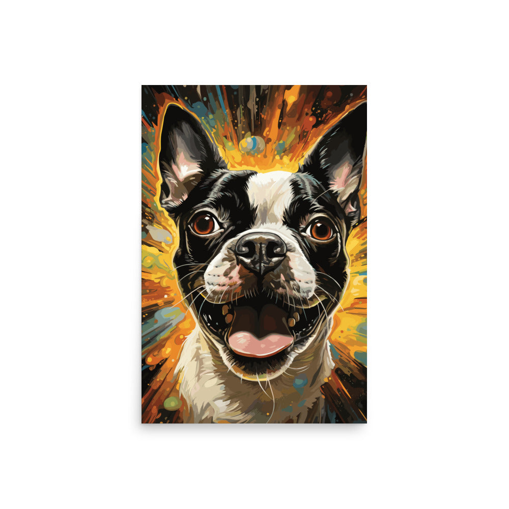 Zoomies Excitement Boston Terrier Dog Poster