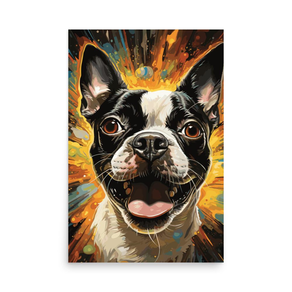 Zoomies Excitement Boston Terrier Dog Poster