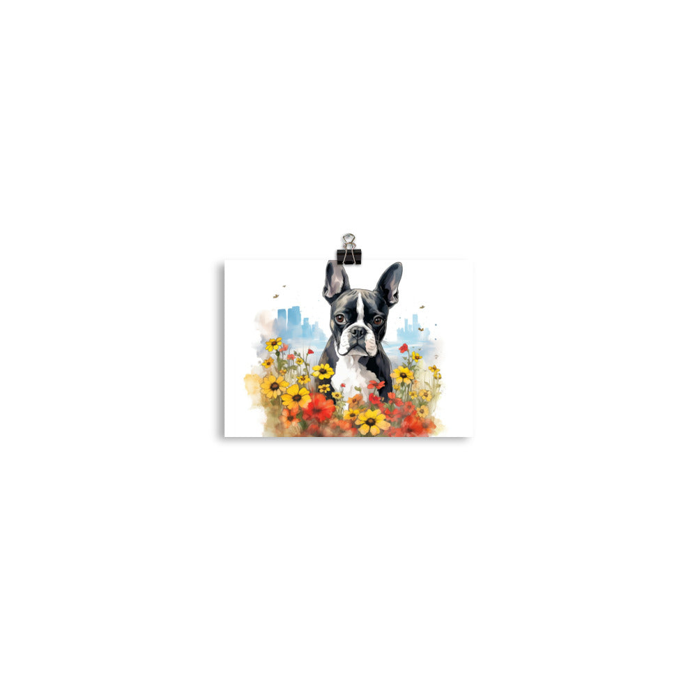 Boston Terrier Dog In A Garden Outside The City Poster
