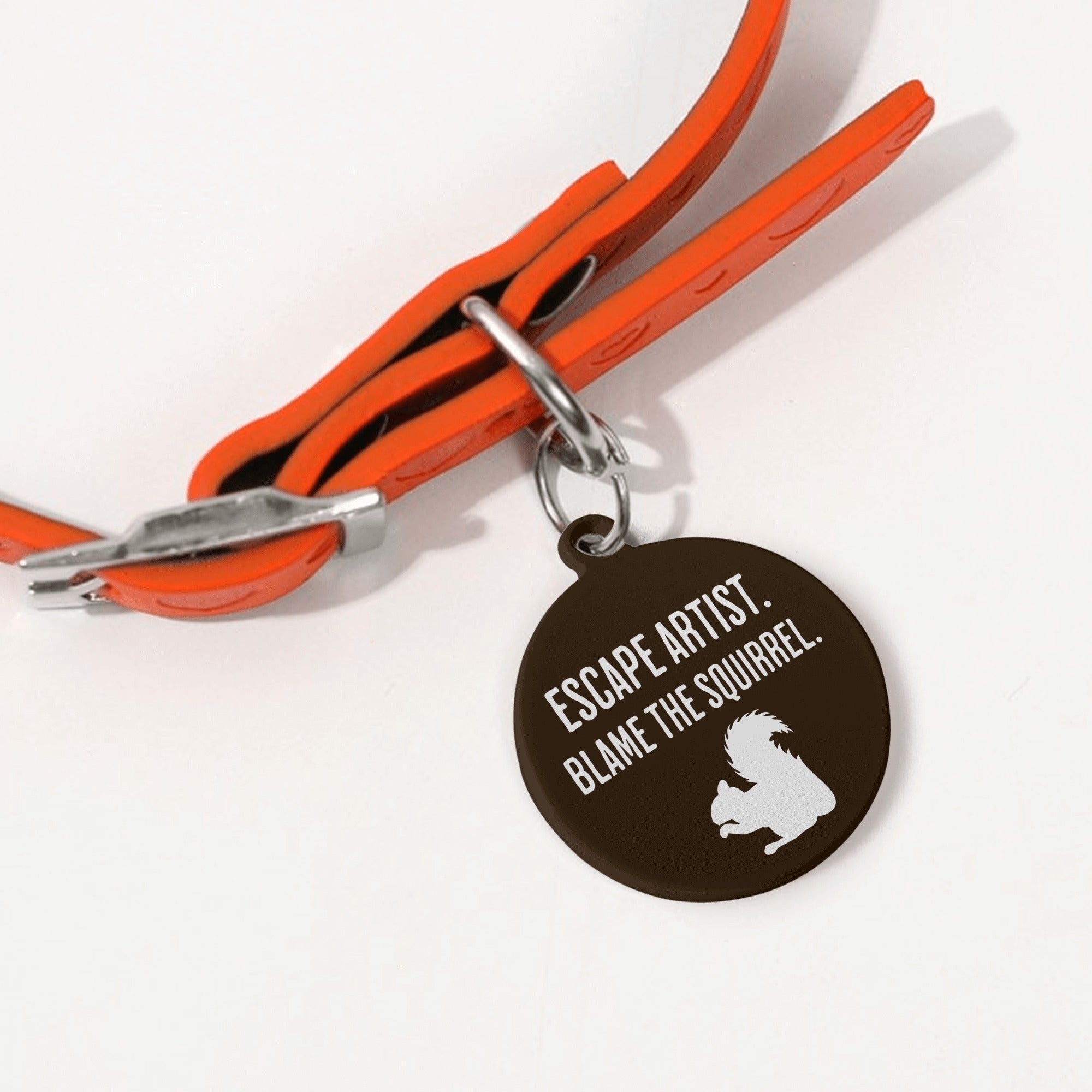 Escape Artist Blame The Squirrel Laser Metal Alloy Dog ID Tag