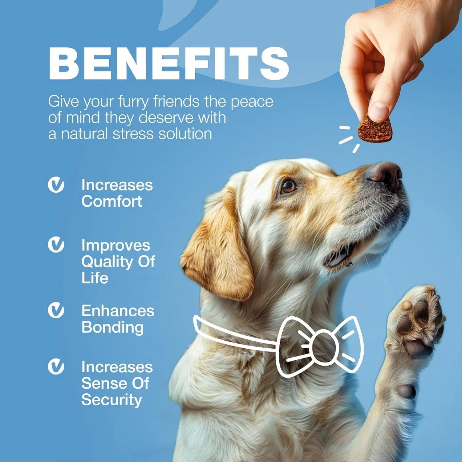 Hemp Calming Chews For Dogs Anxiety Relief Calming Treats With Melatonin Chamomile Extract Valerian Root