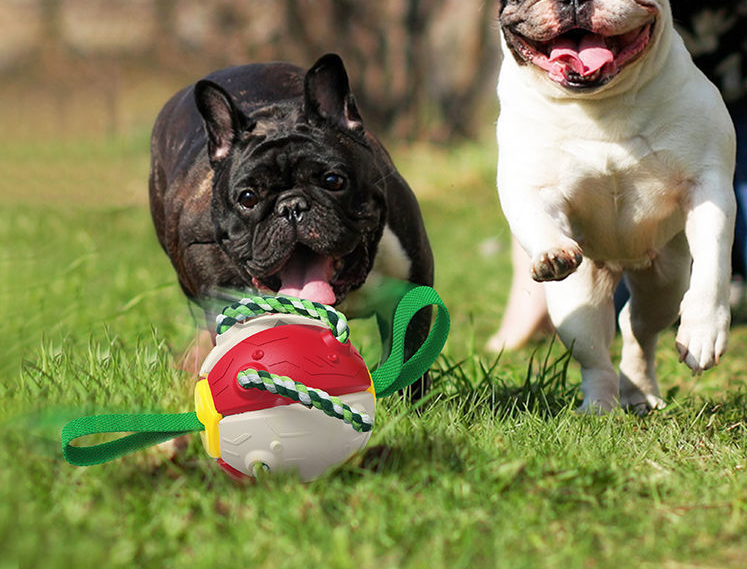 Dog, France Dog Soccer Jersey