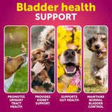 Dog UTI Treatment Cranberry Supplement Bladder Control Urinary Tract Infection Incontinence Pill Bladder Stones UTI Medicine Treats 70 Soft Chews For Kidney Support With Fish Oil