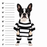 Funny Dog Prisoner Halloween Costume | Striped Jail Inmate Outfit for Small & Medium Dogs