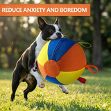 Giant Chew-Resistant Dog Ball – Durable Interactive Toy for Endless Play & Mental Stimulation .
