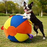 Giant Chew-Resistant Dog Ball – Durable Interactive Toy for Endless Play & Mental Stimulation .