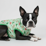 Gingerbread Man & Xmas Tree Dog Shirt - Green