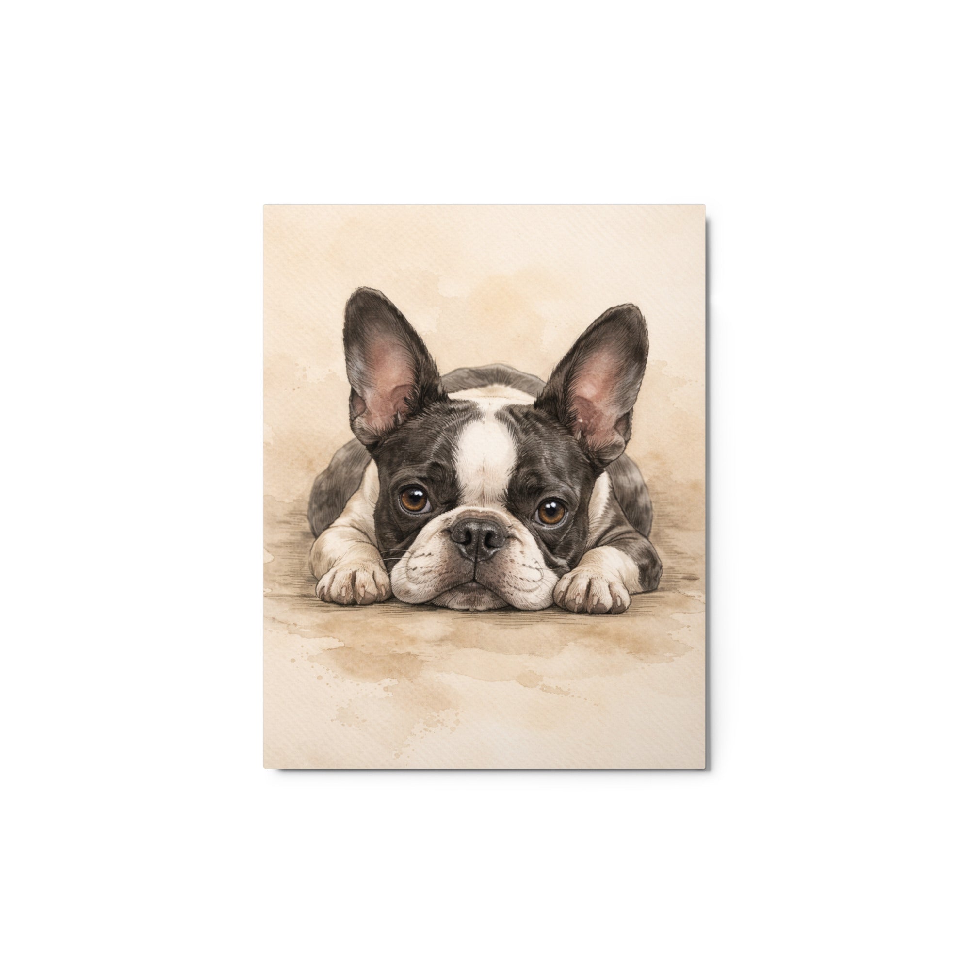 Watercolor Boston Terrier Dog Art Print Metal Prints . 11″×14″