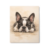 Watercolor Boston Terrier Dog Art Print Metal Prints . 16″×20″