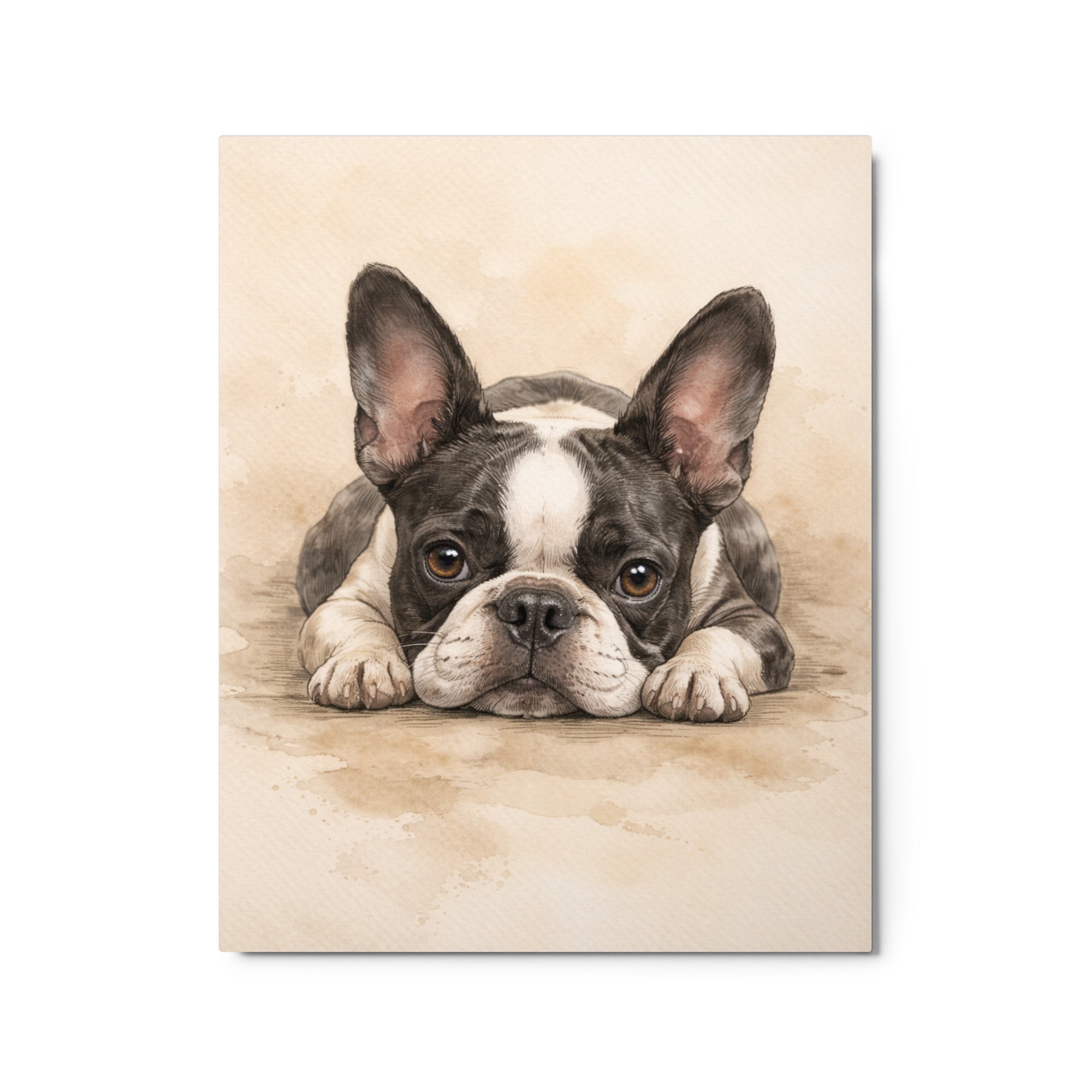 Watercolor Boston Terrier Dog Art Print Metal Prints . 16″×20″