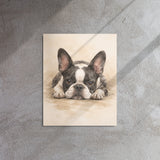 Watercolor Boston Terrier Dog Art Print Metal Prints .