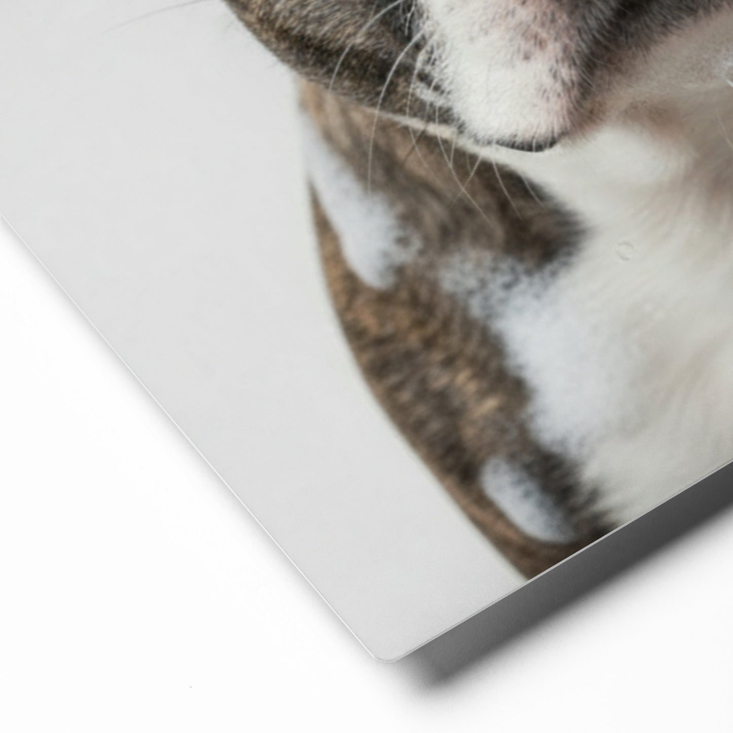 Custom Dog Bathroom Portrait from Your Dog's Photo Metal Print