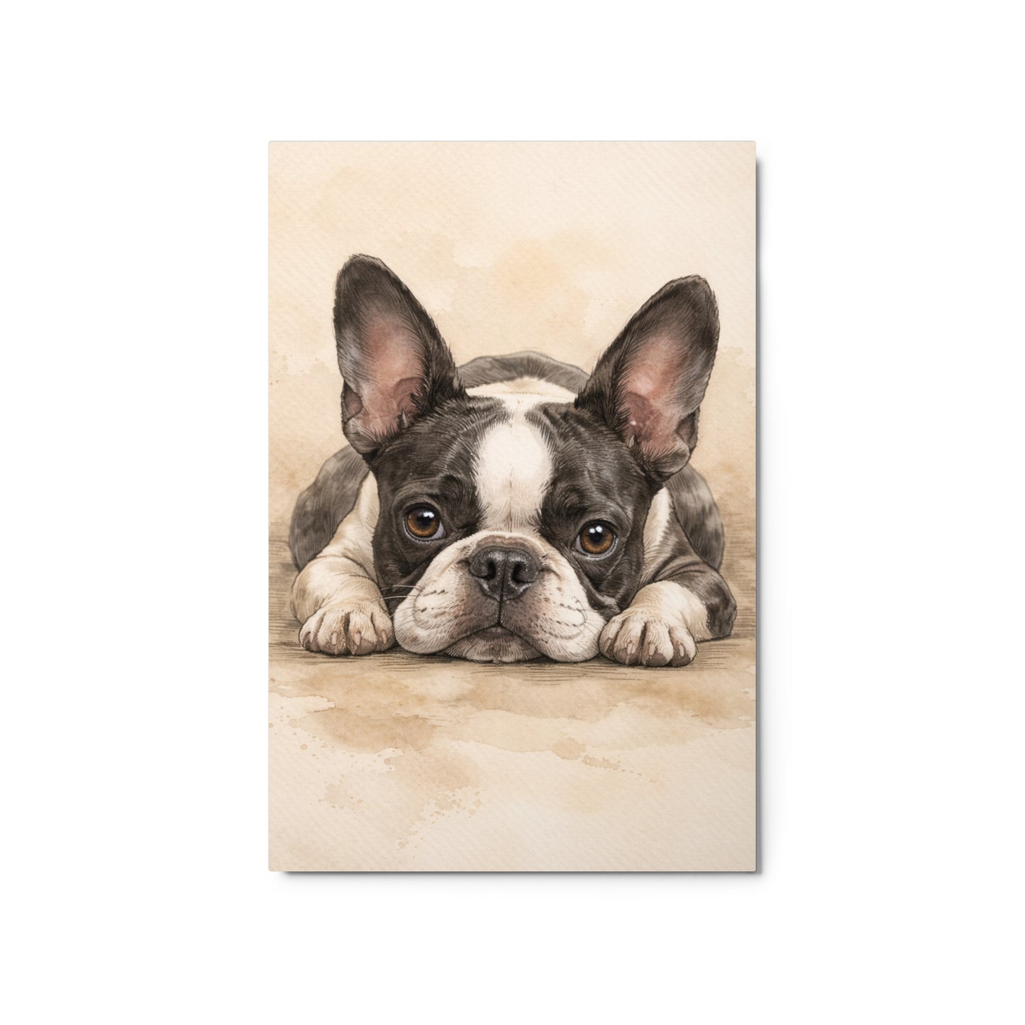 Watercolor Boston Terrier Dog Art Print Metal Prints . 20″×30″