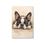 Watercolor Boston Terrier Dog Art Print Metal Prints . 20″×30″