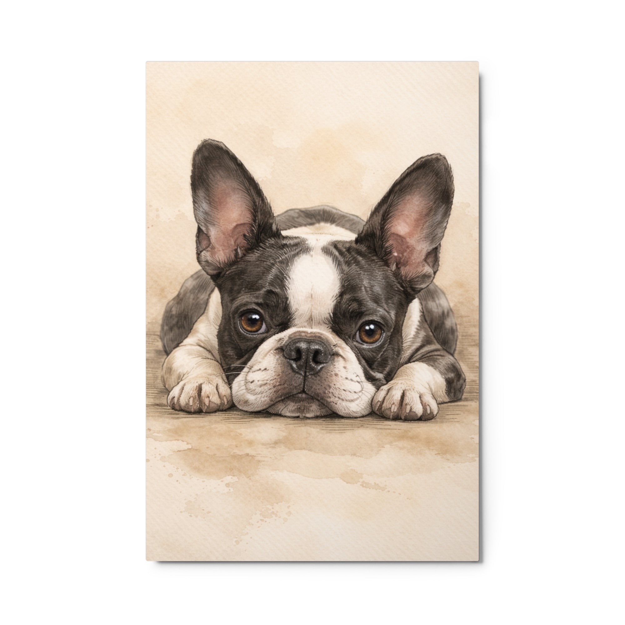 Watercolor Boston Terrier Dog Art Print Metal Prints . 24″×36″