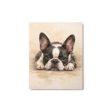 Watercolor Boston Terrier Dog Art Print Metal Prints . 8″×10″