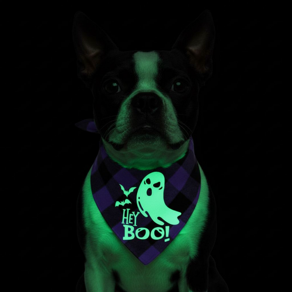 Halloween Luminous Dog Bandana Purple Plaid