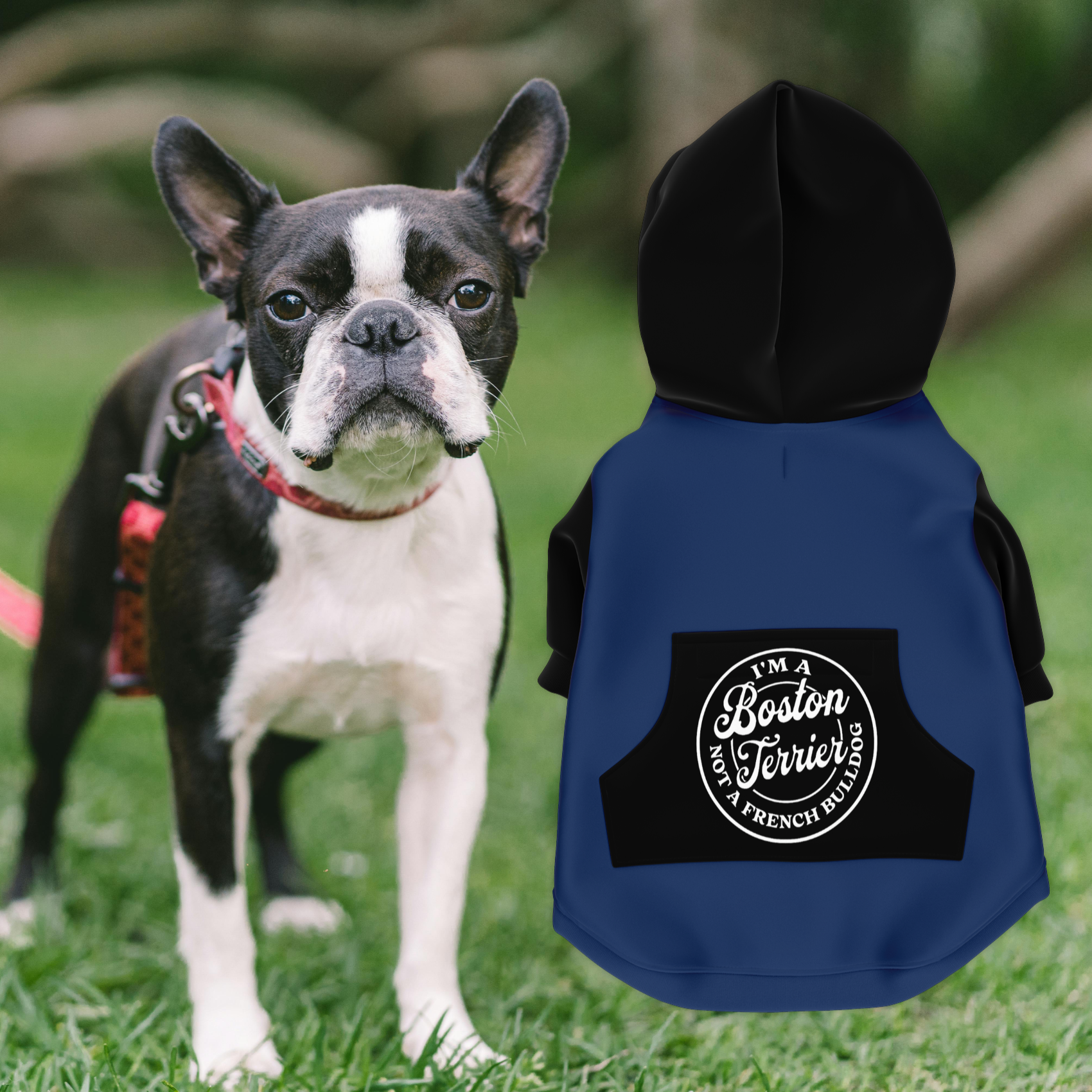 I'm A Boston Terrier Not A French Bulldog Zip-Up Dog Hoodie