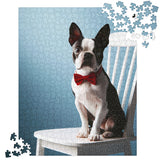 Dapper Boston Terrier in Red Bow Tie Seated on White Chair Jigsaw Puzzle