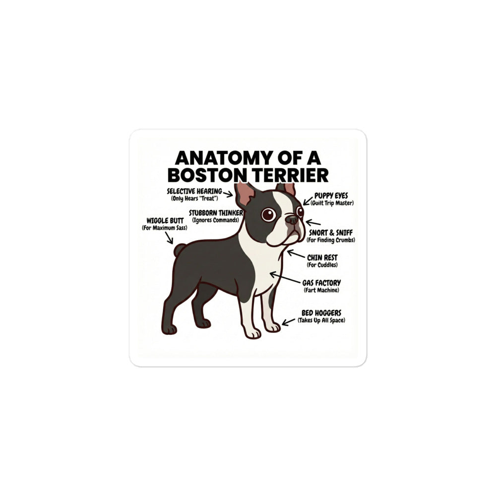 Boston Terrier Anatomy Illustrated Stickers . 3″×3″