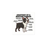 Boston Terrier Anatomy Illustrated Stickers . 3″×3″