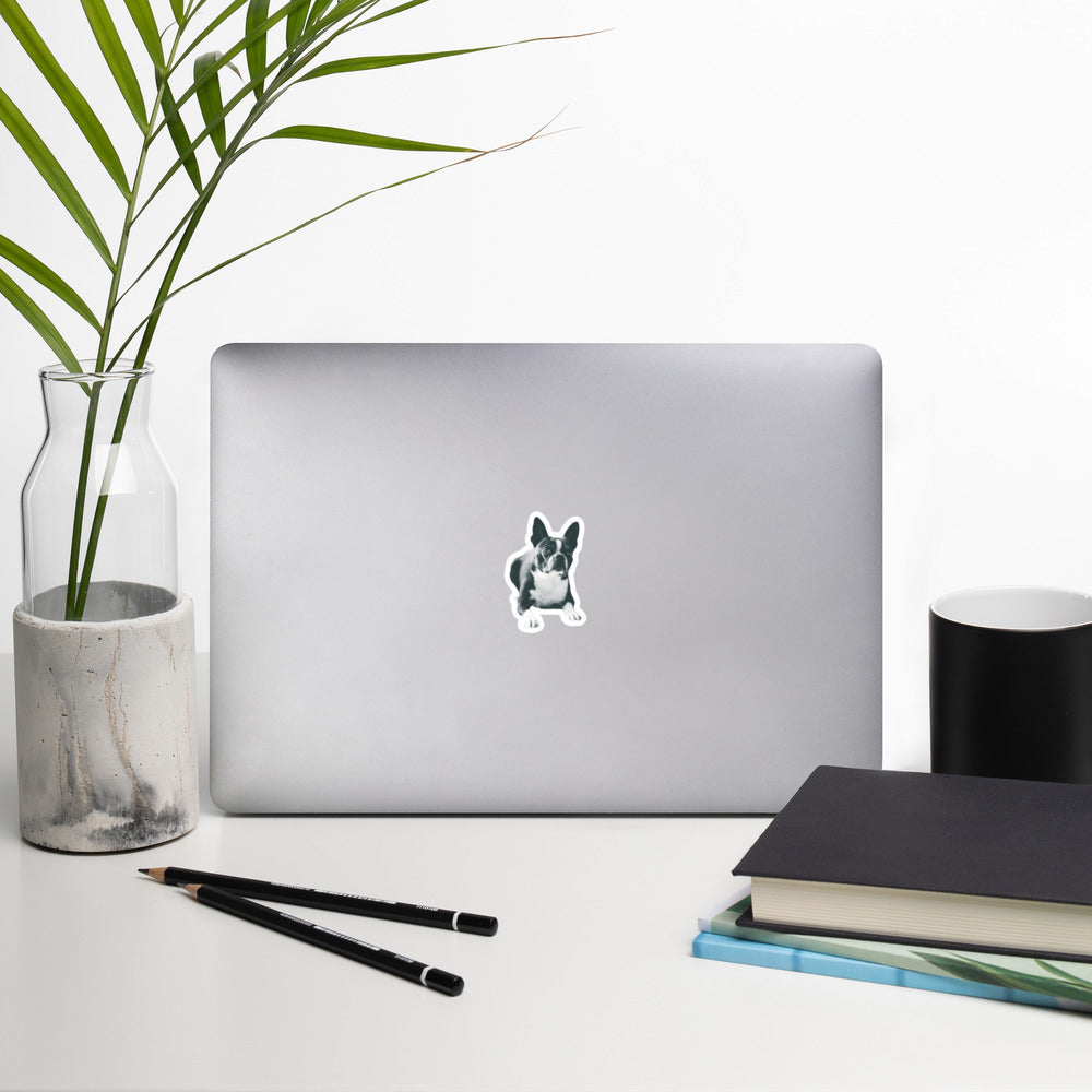 Custom Dog Stickers Using Your Dog Photo