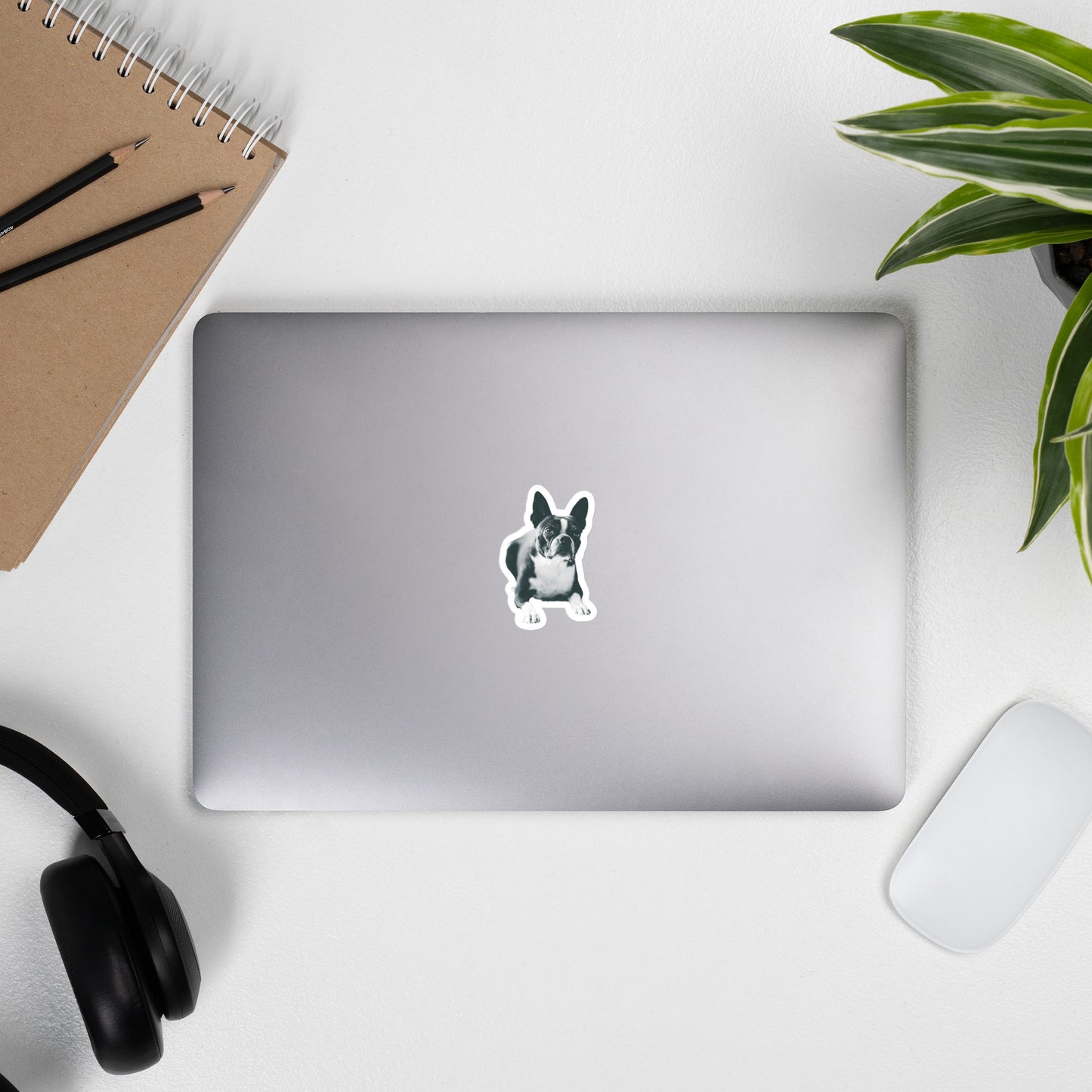 Custom Dog Stickers Using Your Dog Photo