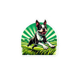 Boston Terrier Dog Running Free Stickers