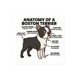 Boston Terrier Anatomy Illustrated Stickers . 4″×4″