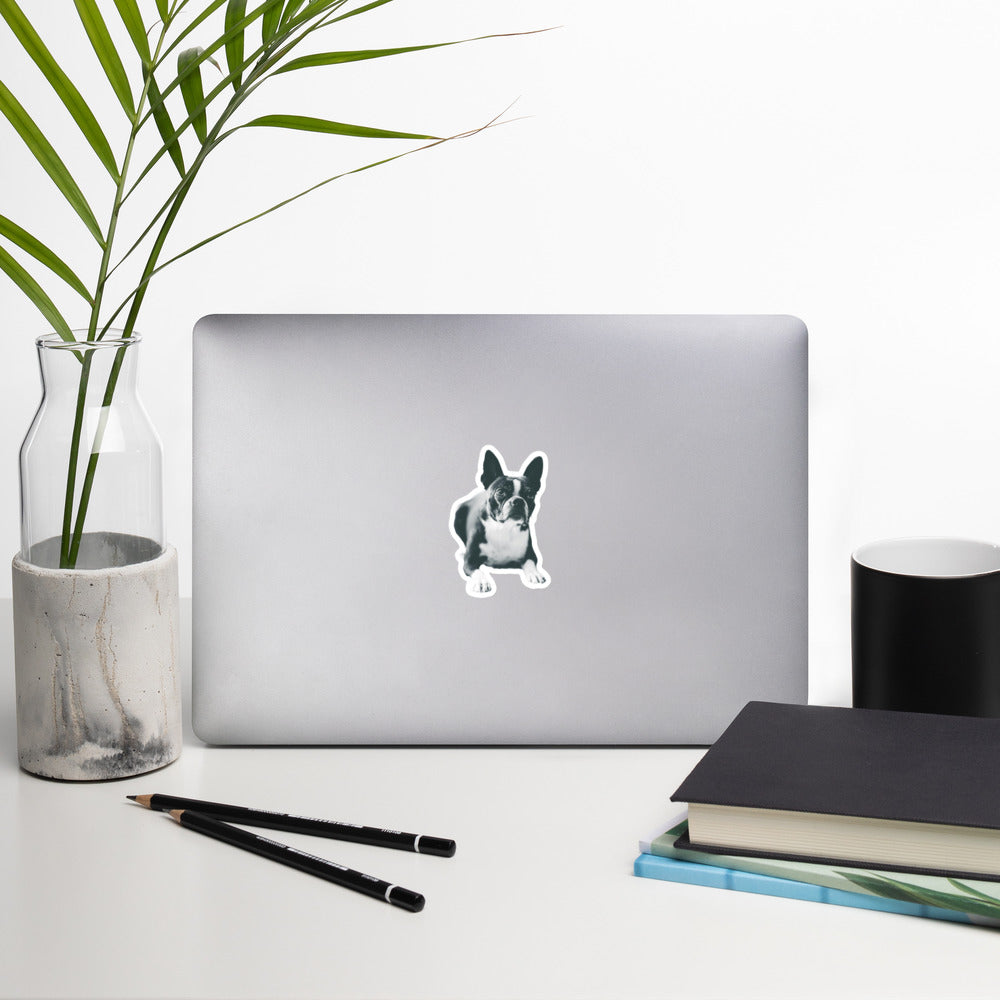 Custom Dog Stickers Using Your Dog Photo