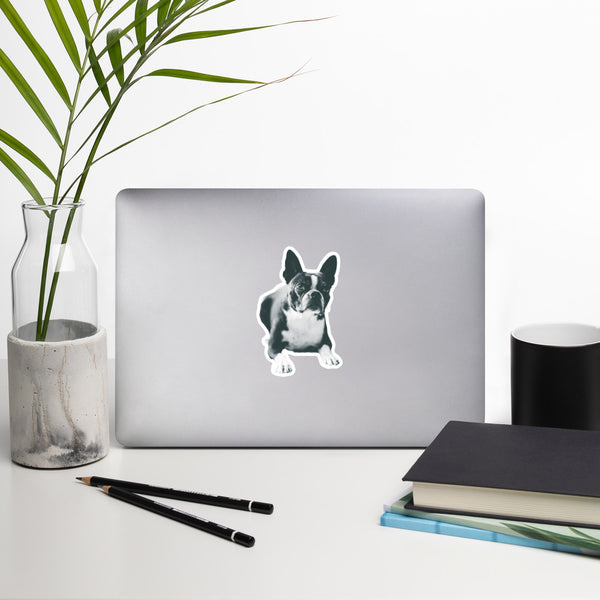 Custom Dog Stickers Using Your Dog Photo