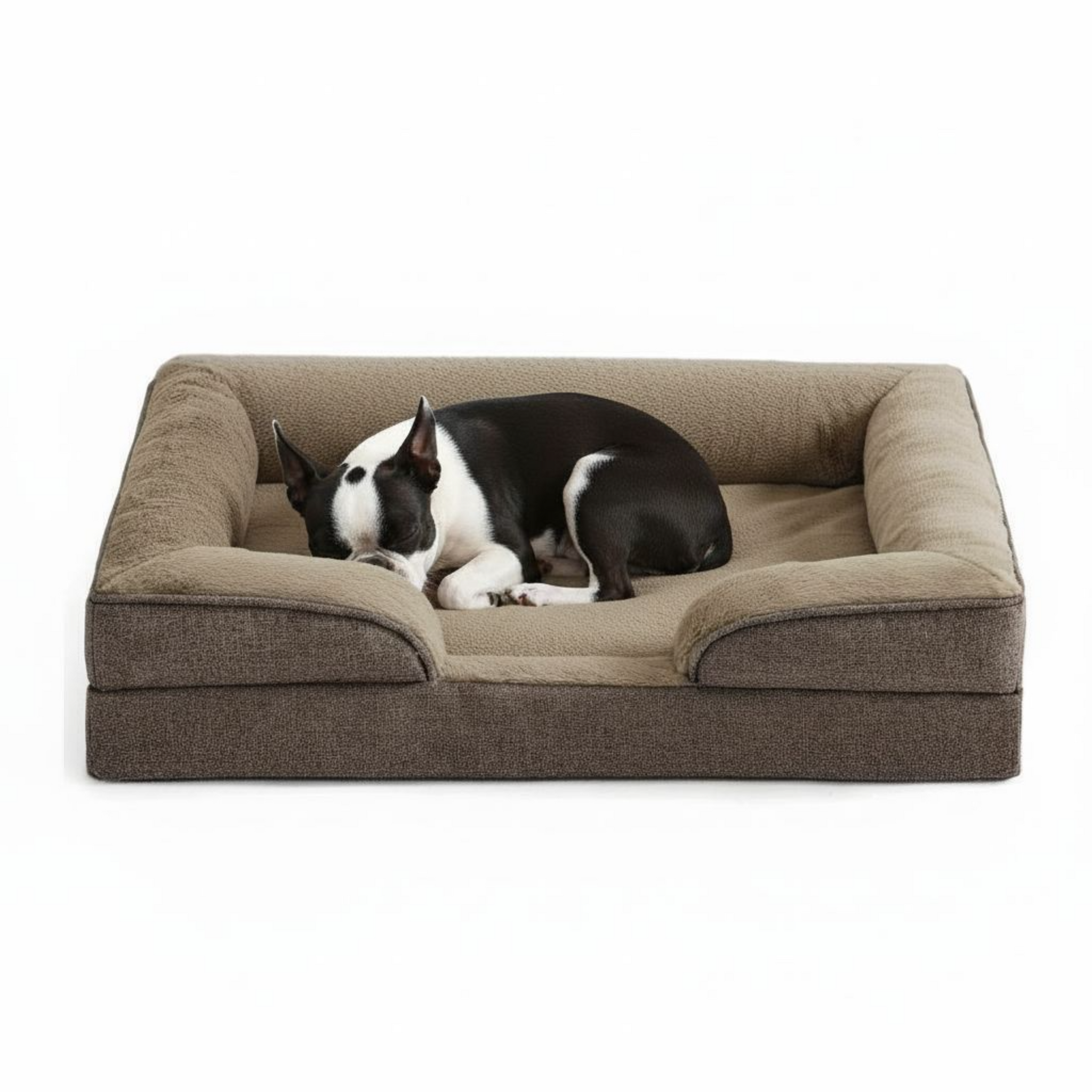 Dog lying on a brown pet bed with a white background