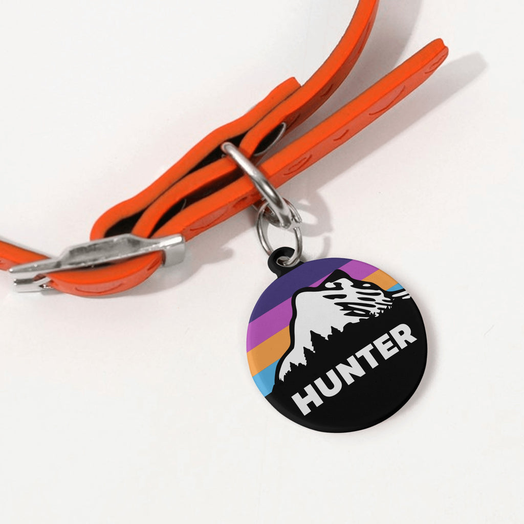 Outdoor Mountain Personalized Laser Metal Alloy Dog ID Tag with Custom Name and Number
