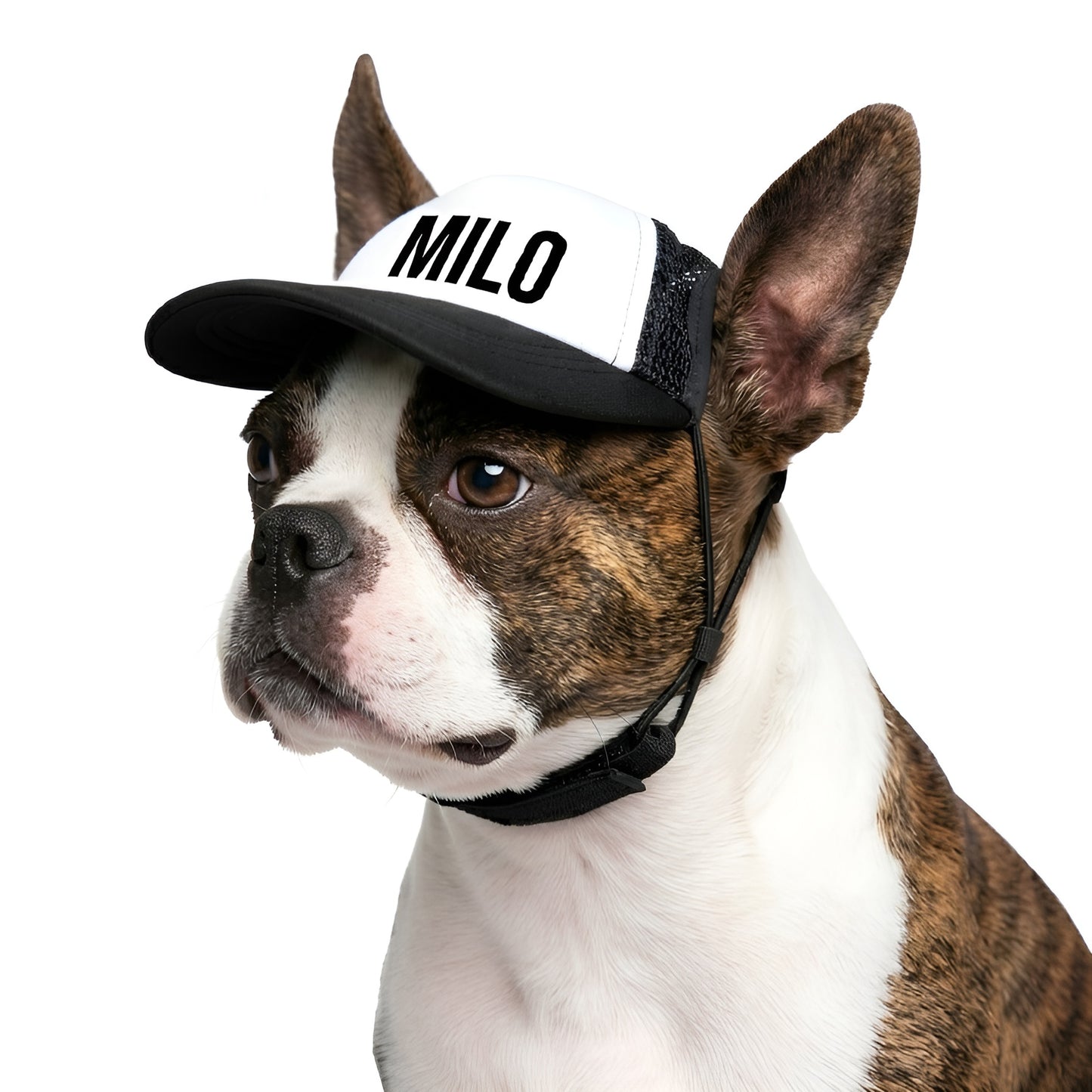 Personalized Dog Trucker Hat – Custom Name Pet Cap for Sunny Day Adventures .