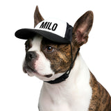 Personalized Dog Trucker Hat – Custom Name Pet Cap for Sunny Day Adventures .