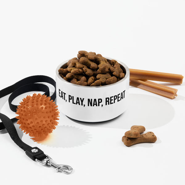 Eat Play Nap Repeat Dog Bowl