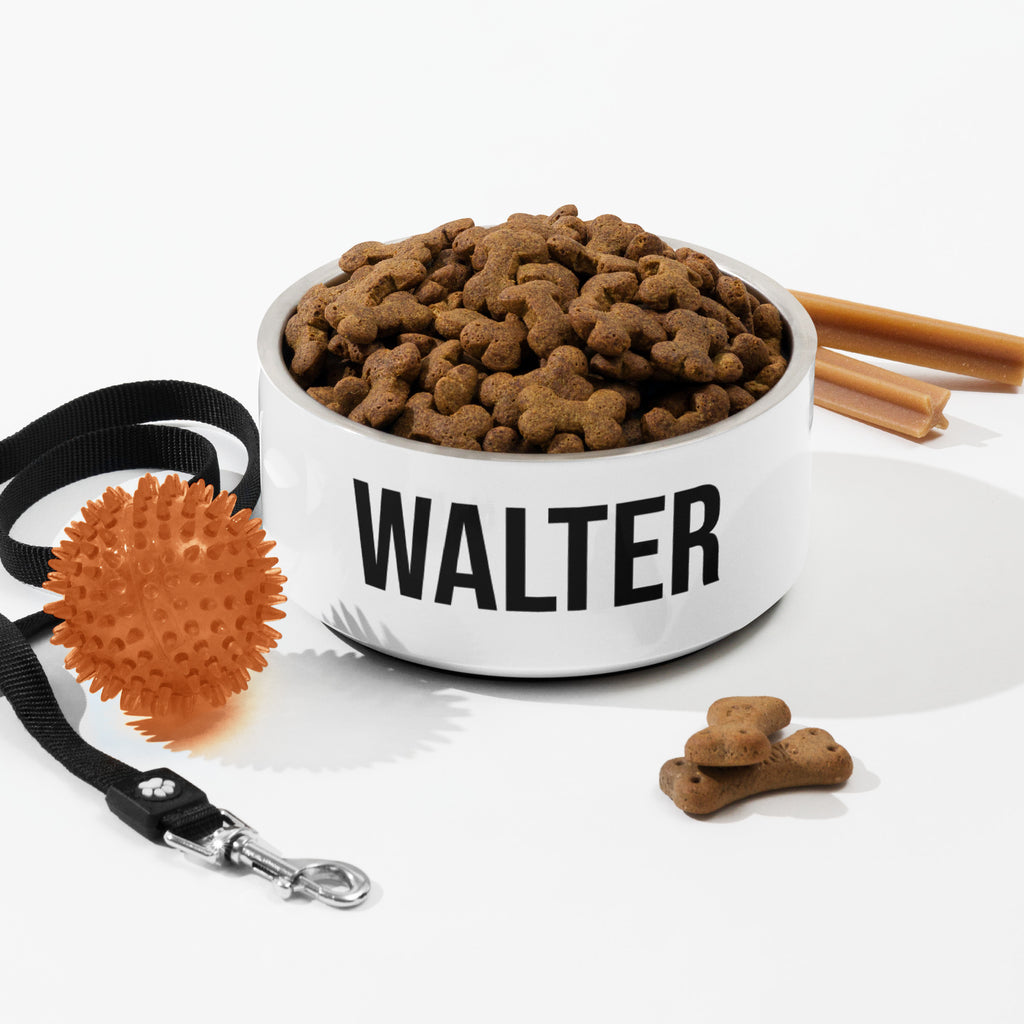 Custom Dog Bowl with Dog Name