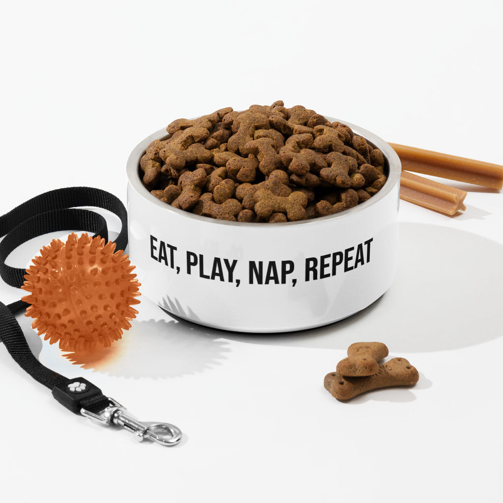 Eat Play Nap Repeat Dog Bowl