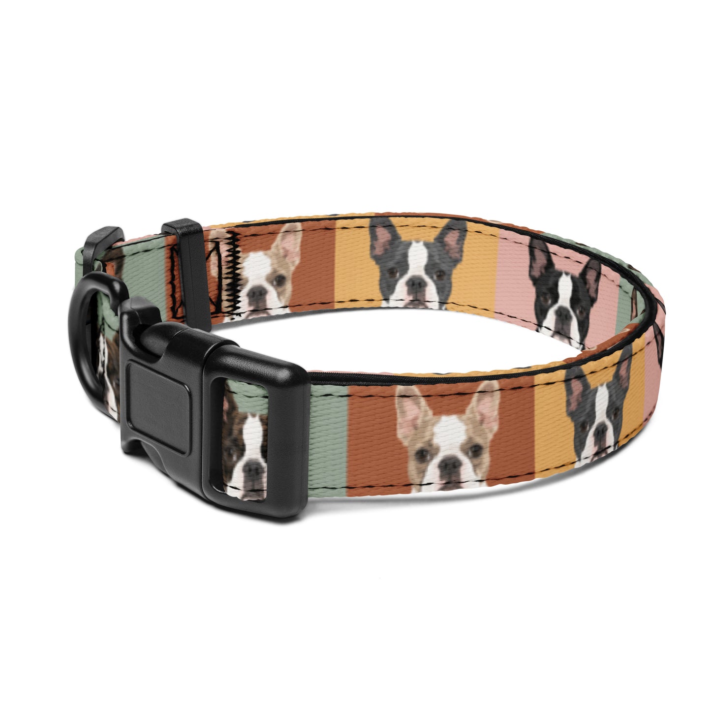 Pop Art Style Colored Boston Terriers Modern Tiles Pattern Dog Collar . L