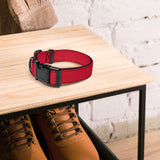 Red Dog Collar
