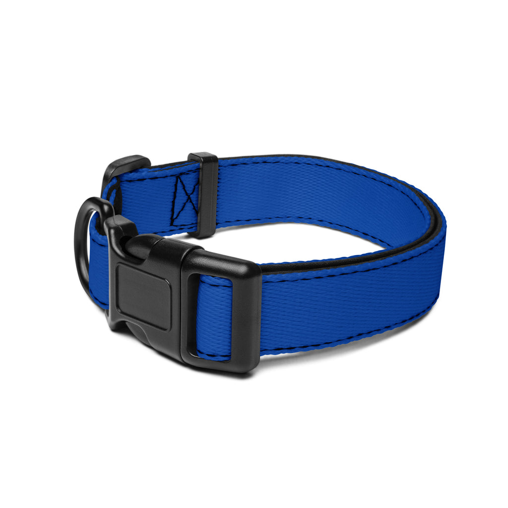 Blue Dog Collar