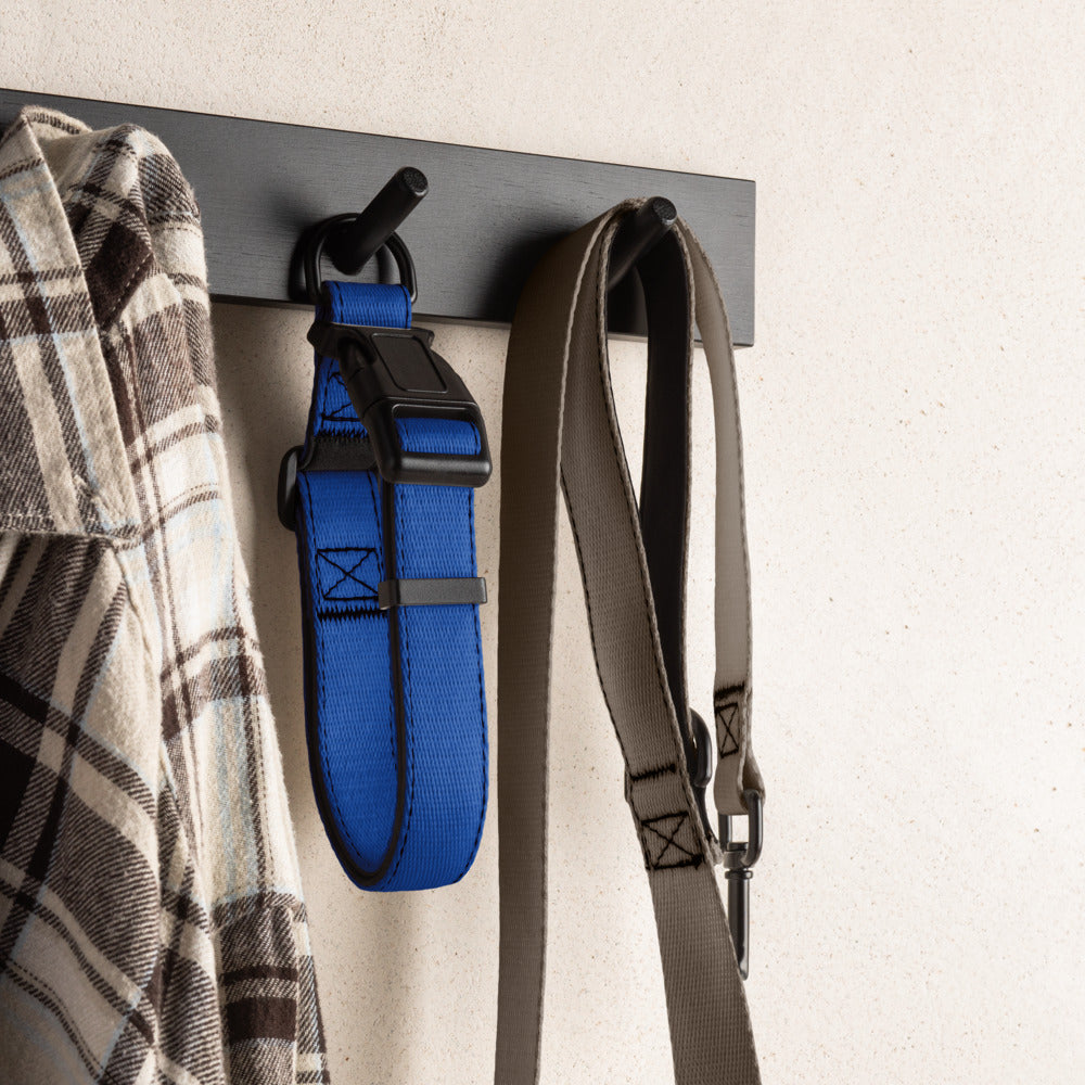 Blue Dog Collar